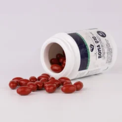 Coenzym Q10 90 Kapseln