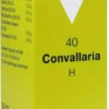 Convallaria H Nr. 40 50 ml Tropfen
