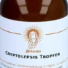 Cryptolepis Tropfen 100 ml