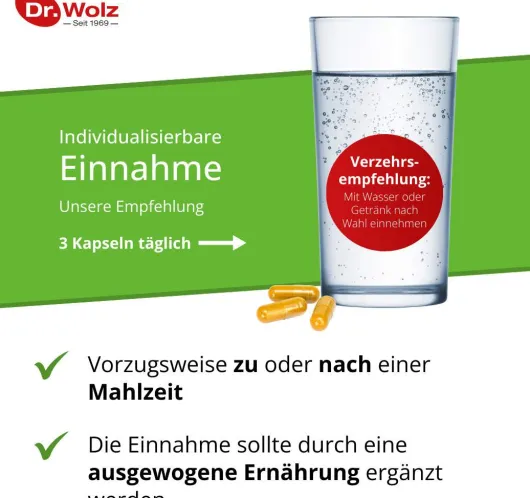 Curcumin Extrakt 45 Dr.Wolz Kapseln 90 Kapseln