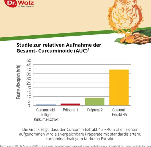 Curcumin Extrakt 45 Dr.Wolz Kapseln 90 Kapseln