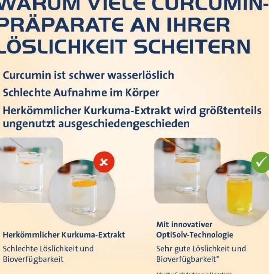 Curcumin Hevert OptiSolv Kapseln 120 Stück