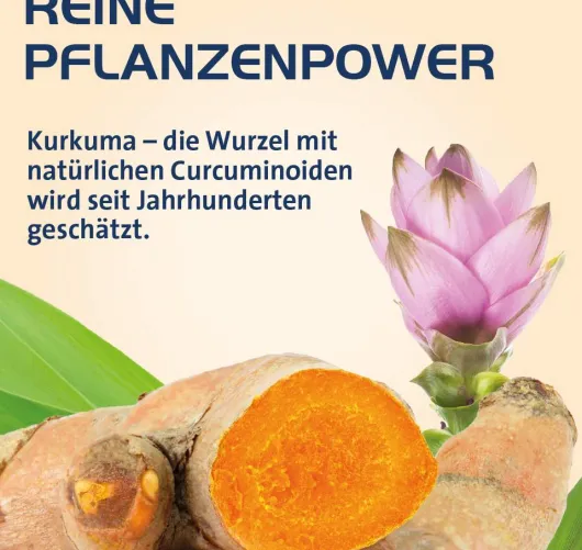 Curcumin Hevert OptiSolv Kapseln 120 Stück