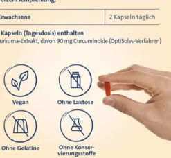 Curcumin Hevert OptiSolv Kapseln 120 Stück