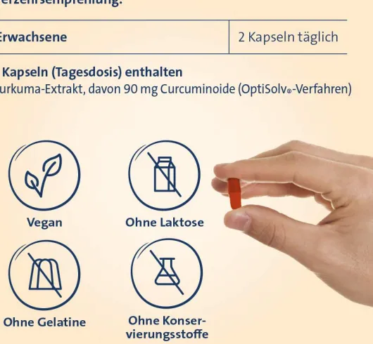 Curcumin Hevert OptiSolv Kapseln 120 Stück