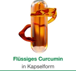 Curcumin Loges 60 Kapseln
