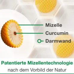 Curcumin Loges 60 Kapseln