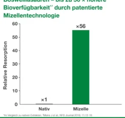Curcumin Loges Plus Boswellia 60 Kapseln