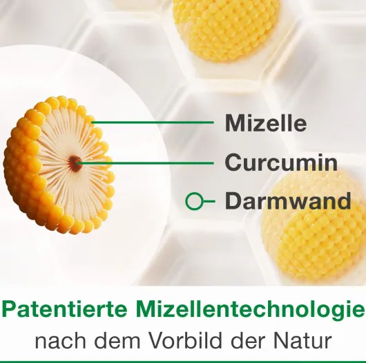Curcumin Loges Plus Boswellia 60 Kapseln