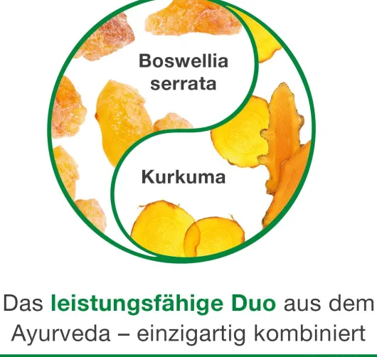 Curcumin Loges Plus Boswellia 60 Kapseln