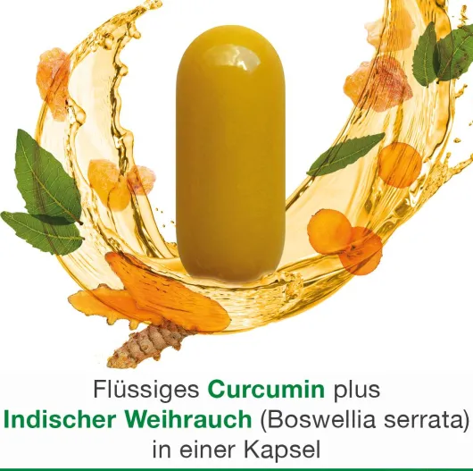 Curcumin Loges Plus Boswellia 60 Kapseln