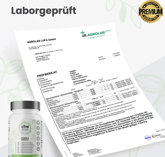 Cyb Vitamin B-Komplex Hochdosiert 100% Vegan 180 Tabletten