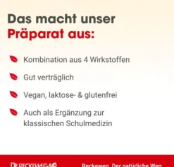 Cysto Gastreu S R 18 22 ml Tropfen