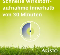 Desloratadin Aristo 5 mg 100 Filmtabletten