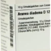 Dhu Aranea Diadema D12 Globuli
