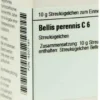 Dhu Bellis Perennis C6 Globuli