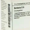 Dhu Berberis D6 10 G Globuli