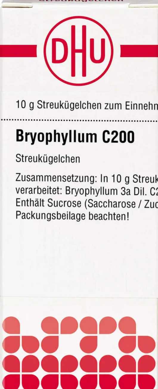 Dhu Bryophyllum C200 Globuli 10 G