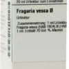 Dhu Fragaria Vesca Urtinktur