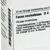 Dhu Fucus Vesiculosus D4 Dilution