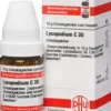 Dhu Lycopodium C30 10 G Globuli