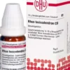 DHU Rhus toxicodendron C30 10 G Globuli