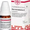 Dhu Rhus Toxicodendron C9 Globuli