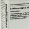 Dhu Sambucus Nigra C30 Globuli