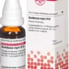 Dhu Sambucus Nigra D12 Dilution