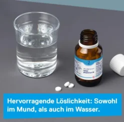 DHU Schüßler-Salz Nr. 2 Calcium phosphoricum D6 80 Tabletten
