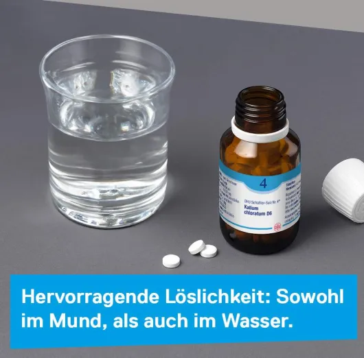 Dhu Schüßler-Salz Nr. 4 Kalium Chloratum D6 900 Tabletten