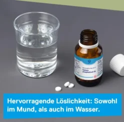 Dhu Schüßler-Salz Nr. 9 Natrium Phosphoricum D6 900 Tabletten
