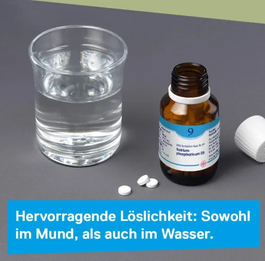 DHU Schüßler-Salz Nr. 9 Natrium phosphoricum D 6 80 Tabletten