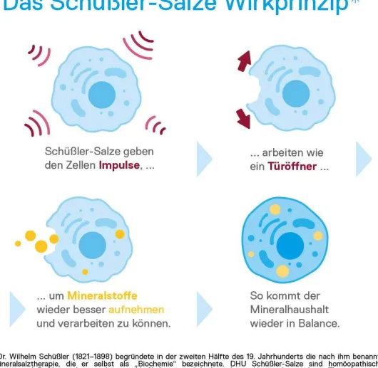DHU Schüßler-Salz Nr. 11 Silicea D2 420 Tabletten