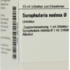 Dhu Scrophularia Nodosa 20 ml Urtinktur