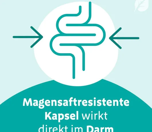 Digestopret Magensaftresistente Weichkapseln 15 Stück