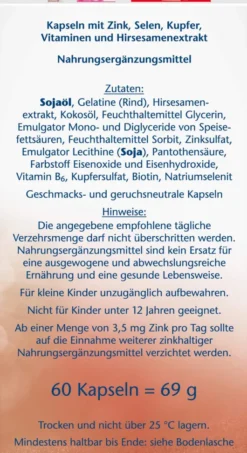 Doppelherz aktiv Haar Vital + Zink + Hirsesamenextrakt 60 Kapseln