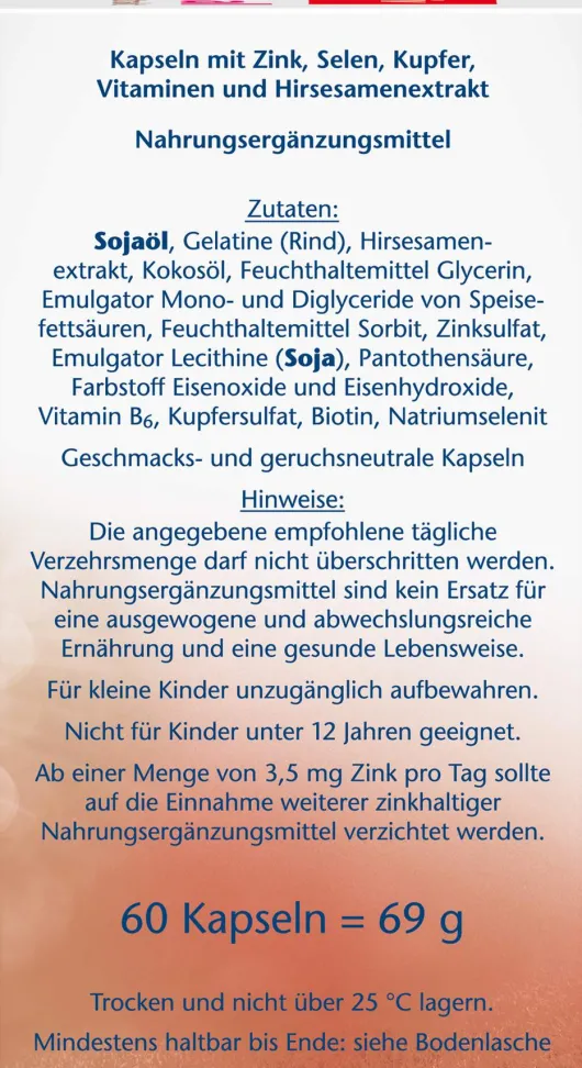 Doppelherz aktiv Haar Vital + Zink + Hirsesamenextrakt 60 Kapseln