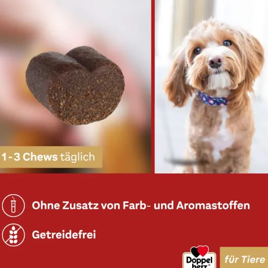 Doppelherz Haut & Fell Complex Für Hunde 60 Chews