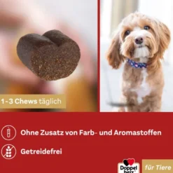 Doppelherz Haut & Fell Complex für Hunde 30 Chews