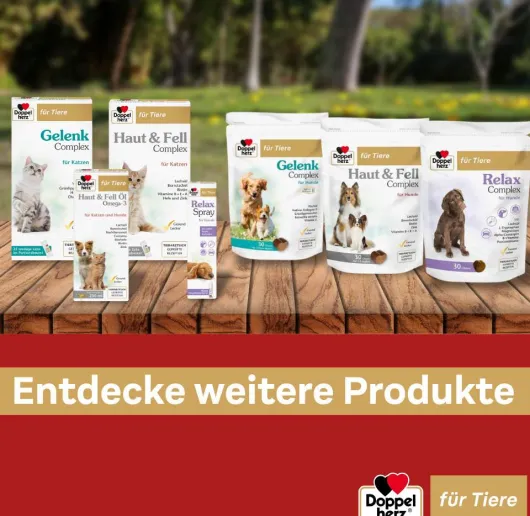 Doppelherz Haut & Fell Öl Für Katzen und Hunde 250 ml