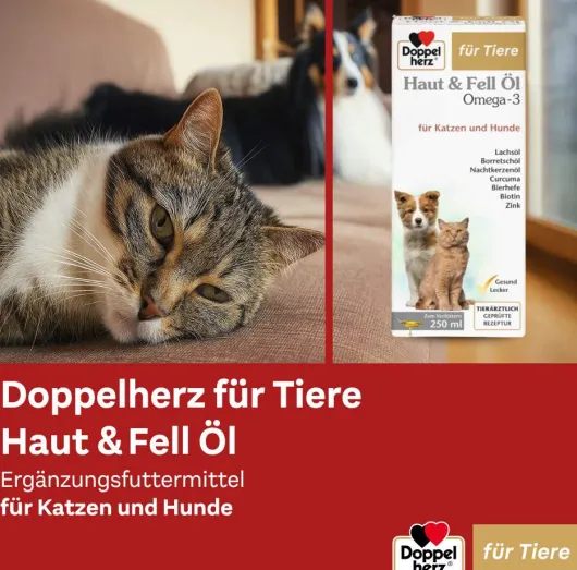 Doppelherz Haut & Fell Öl Für Katzen und Hunde 250 ml