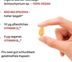 Doppelherz system Omega-3 Pflanzlich 120 Kapseln