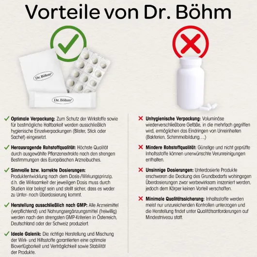 Dr.Böhm Darm Aktiv Pulver 6 Sachets