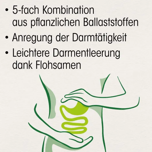 Dr.Böhm Darm Aktiv Pulver 6 Sachets