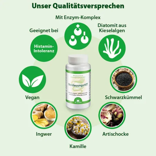 Dr.Jacob s Verdauungshit 90 Tabletten