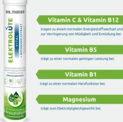 Dr.Theiss Elektrolüte Vital Brausetabletten 20 Stück