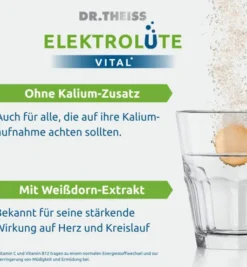 Dr.Theiss Elektrolüte Vital Brausetabletten 20 Stück