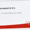Dura Mater Encephali Gl D 6 Ampullen