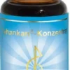 Dyhankan-Konzentrat